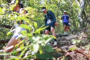 BIB: 
                            <button type="button" onclick="openModal(27698476)" class="btn btn-primary btn-sm float-right btn-popup" data-toggle="modal" data-target=".modal-high-quality">
                        <i class="fas fa-shopping-cart"></i> Add to Cart
                    </button>
                                            <button type="button" onclick="isThisMe(27698476, true)" class="btn btn-success btn-sm float-right btn-popup btn-isme hidden" data-toggle="tooltip" data-placement="bottom" title="นี่คือรูปของคุณใช่ไหม คลิกที่นี่เพื่อเอาเข้าอัลบั้ม">
                        <i class="fas fa-plus"></i> Add to album
                    </button>
                    <button type="button" onclick="isThisMe(27698476, false)" class="btn btn-warning btn-sm float-right btn-popup btn-isnotme hidden">
                        <i class="fas fa-ban"></i> Remove from album
                    </button>